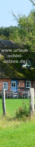 Reetdachkate Gelting Reetdachkate Gelting Fotobanner