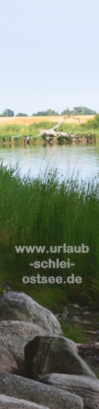 Schlei Noor Schlei Noor Fotobanner