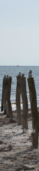 Strand Kronsgaard Strand Kronsgaard Fotobanner