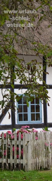 Reetdachkate Reetdachkate Fotobanner