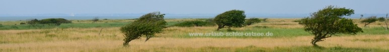 Geltinger Birk Fotobanner
