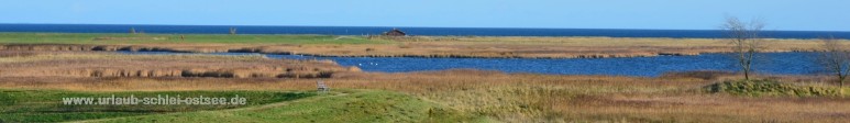 Maasholm Fotobanner