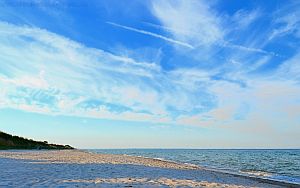 Strand Kronsgard Wallpaper