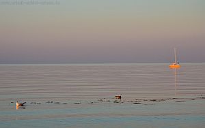 Ostseestrand Wallpaper